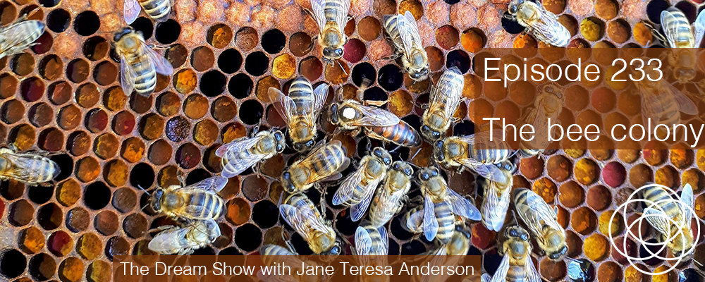 Episode 233 The Dream Show Jane Teresa Anderson