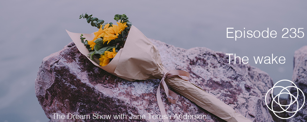 Episode 235 The Dream Show Jane Teresa Anderson