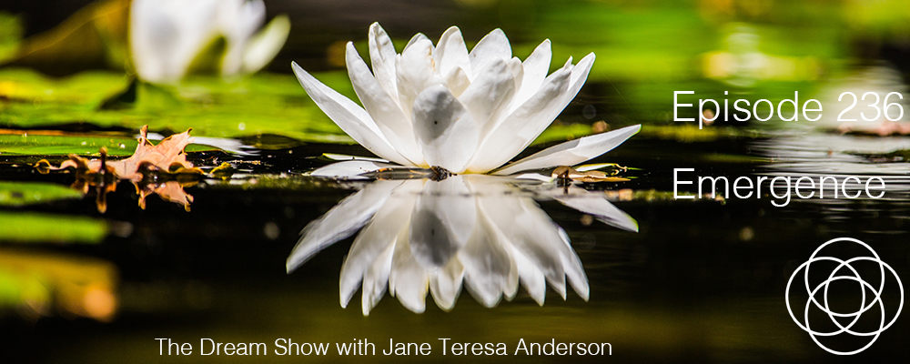 Episode 236 The Dream Show Jane Teresa Anderson