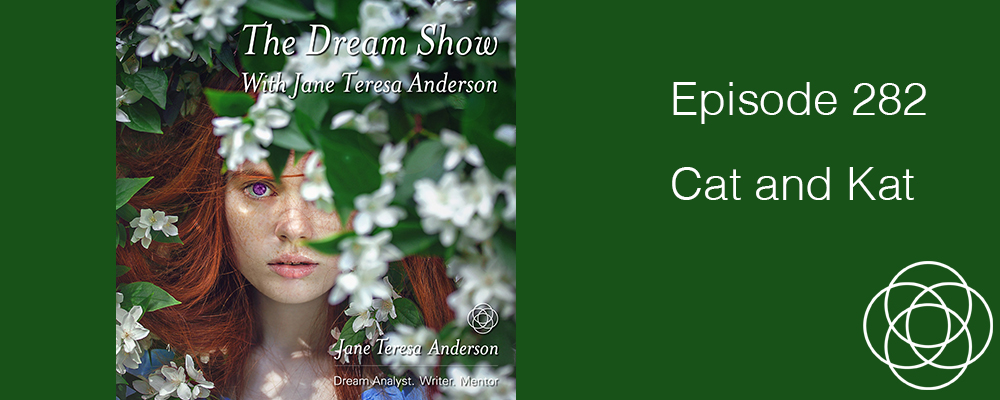 Episode 282 The Dream Show Jane Teresa Anderson