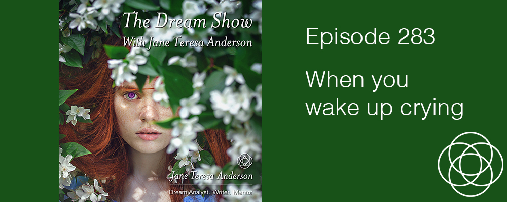 Episode 283 The Dream Show Jane Teresa Anderson