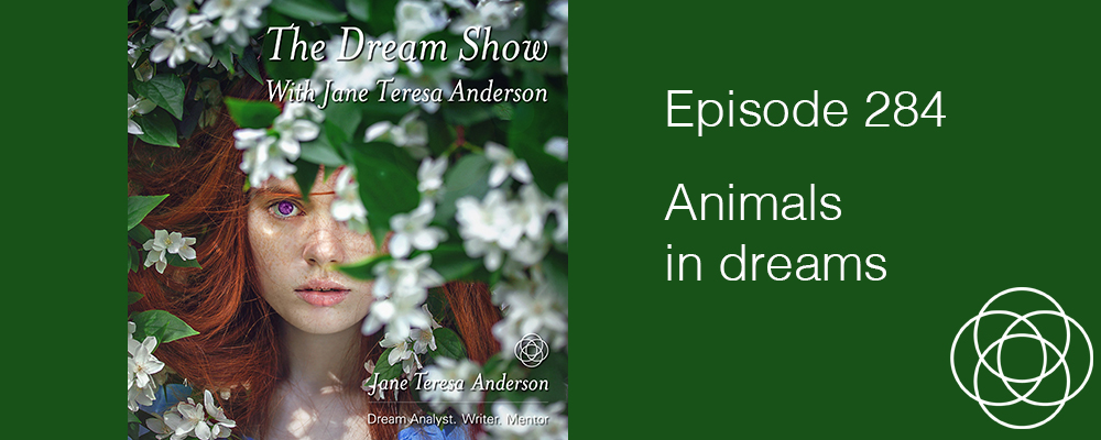 Episode 284 The Dream Show Jane Teresa Anderson