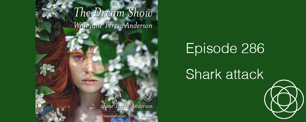 Episode 286 The Dream Show Jane Teresa Anderson